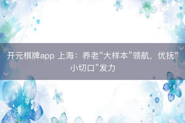 开元棋牌app 上海：养老“大样本”领航，优抚“小切口”发力