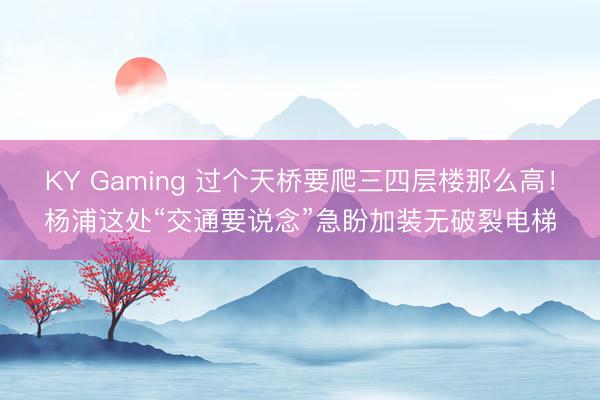 KY Gaming 过个天桥要爬三四层楼那么高！杨浦这处“交通要说念”急盼加装无破裂电梯