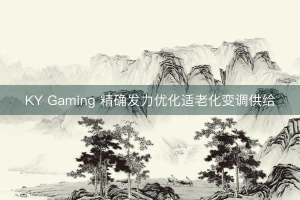 KY Gaming 精确发力优化适老化变调供给