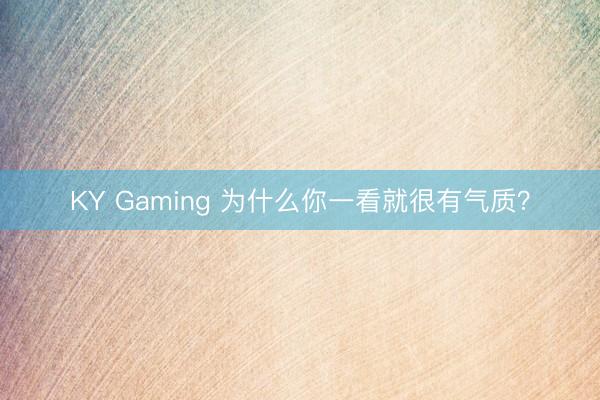 KY Gaming 为什么你一看就很有气质？