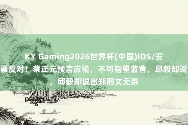 KY Gaming2026世界杯(中国)IOS/安卓官方下载 0票反对!蔡正元预言应验,不可指望蓝营,邱毅却说出郑丽文无奈