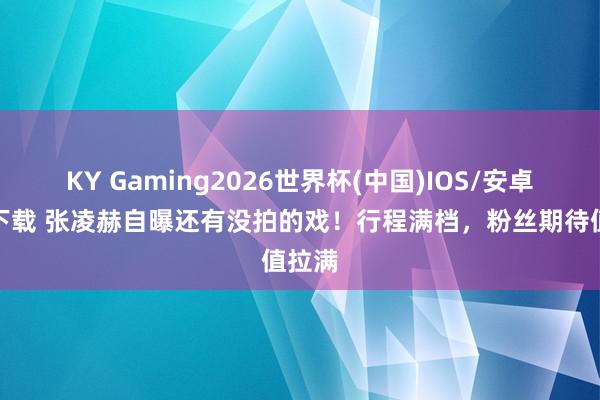 KY Gaming2026世界杯(中国)IOS/安卓官方下载 张凌赫自曝还有没拍的戏！行程满档，粉丝期待值拉满