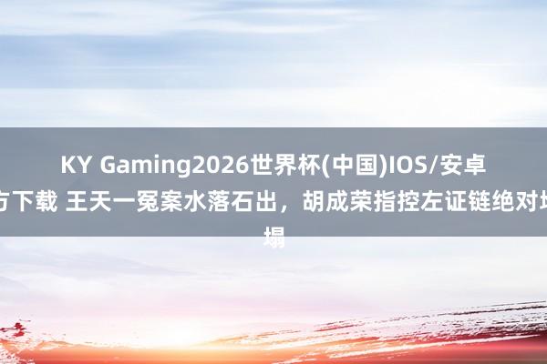 KY Gaming2026世界杯(中国)IOS/安卓官方下载 王天一冤案水落石出,胡成荣指控左证链绝对垮塌
