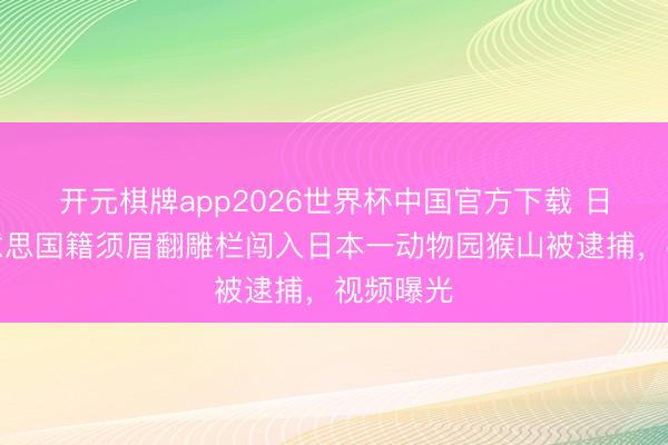 开元棋牌app2026世界杯中国官方下载 日媒:好意思国籍须眉翻雕栏闯入日本一动物园猴山被逮捕,视频曝光