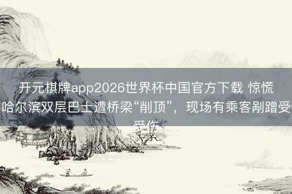开元棋牌app2026世界杯中国官方下载 惊慌!哈尔滨双层巴士遭桥梁“削顶”,现场有乘客剐蹭受伤