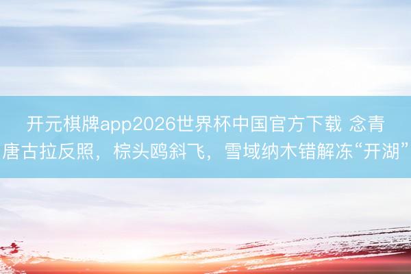 开元棋牌app2026世界杯中国官方下载 念青唐古拉反照，棕头鸥斜飞，雪域纳木错解冻“开湖”