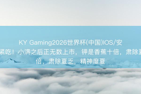 KY Gaming2026世界杯(中国)IOS/安卓官方下载 抓紧吃!小满之后正无数上市,钾是香蕉十倍,肃除夏乏,精神度夏