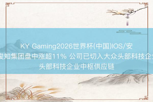 KY Gaming2026世界杯(中国)IOS/安卓官方下载 俊知集团盘中涨超11% 公司已切入大众头部科技企业中枢供应链