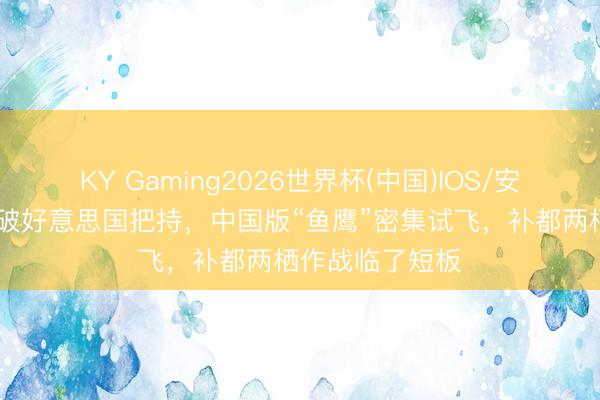 KY Gaming2026世界杯(中国)IOS/安卓官方下载 冲破好意思国把持,中国版“鱼鹰”密集试飞,补都两栖作战临了短板
