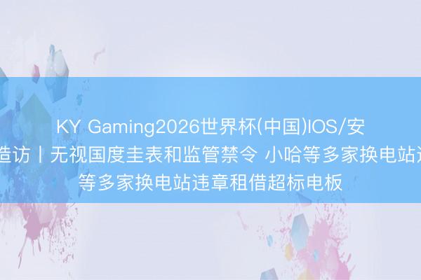KY Gaming2026世界杯(中国)IOS/安卓官方下载 财经造访丨无视国度圭表和监管禁令 小哈等多家换电站违章租借超标电板