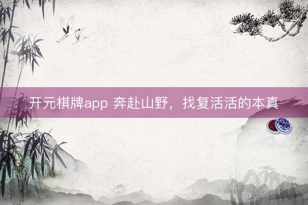 开元棋牌app 奔赴山野，找复活活的本真