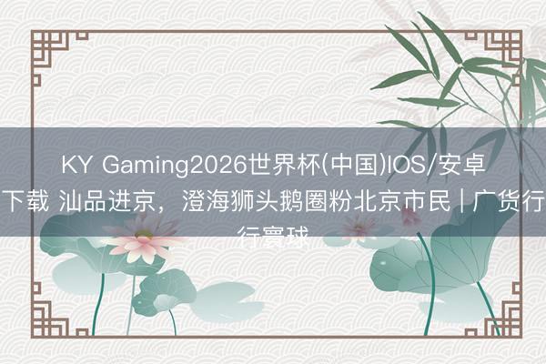 KY Gaming2026世界杯(中国)IOS/安卓官方下载 汕品进京,澄海狮头鹅圈粉北京市民 | 广货行寰球