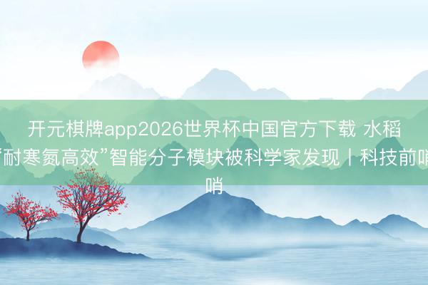 开元棋牌app2026世界杯中国官方下载 水稻“耐寒氮高效”智能分子模块被科学家发现丨科技前哨