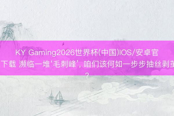 KY Gaming2026世界杯(中国)IOS/安卓官方下载 濒临一堆‘毛刺峰’， 咱们该何如一步步抽丝剥茧?