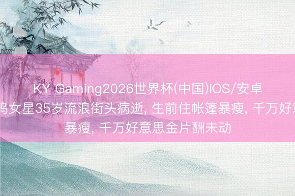 KY Gaming2026世界杯(中国)IOS/安卓官方下载